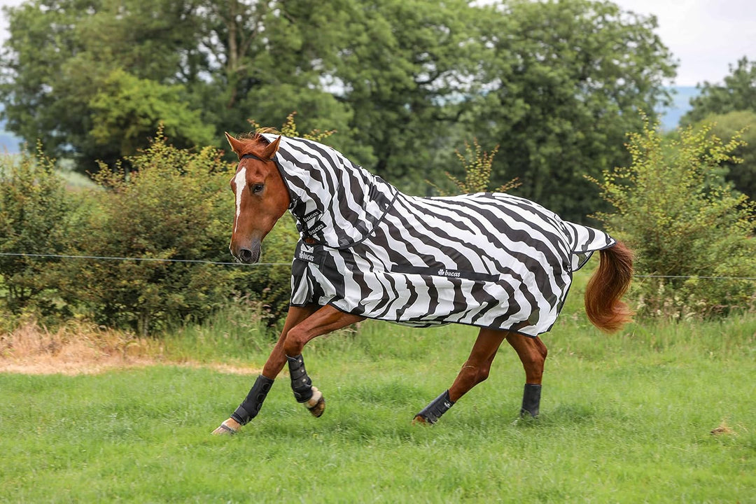 Bucas Buzz-Off Fliegendecke Zebra Full-Neck, 115, 115
