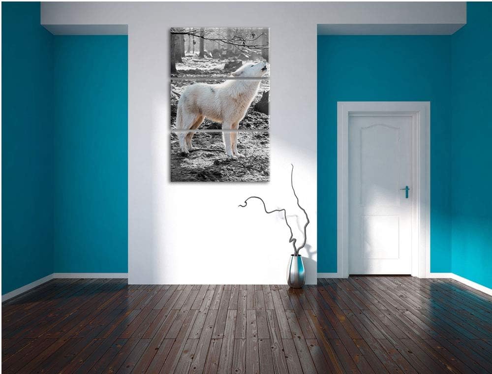 weisser jaulender Wolf im Wald schwarz/weiss 3-Teiler Leinwandbild 120x80 Bild auf Leinwand, XXL rie