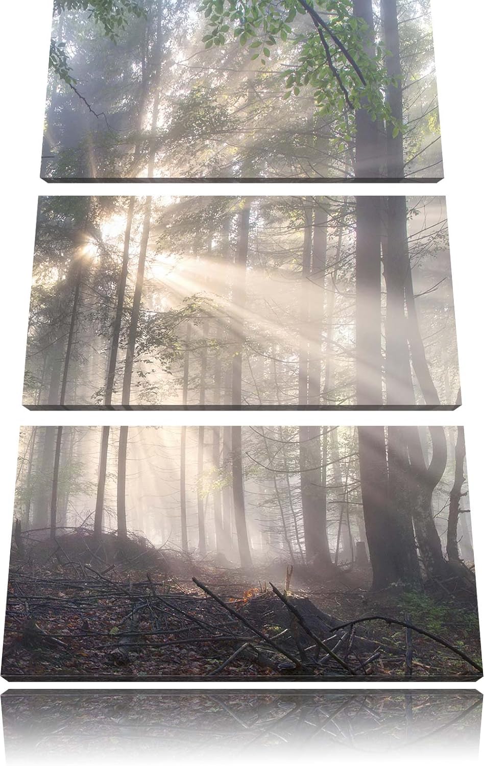 Pixxprint diesiger Waldweg als Leinwandbild/Grösse: 3 Teilig (120x80) cm/Wandbild/Kunstdruck/fertig