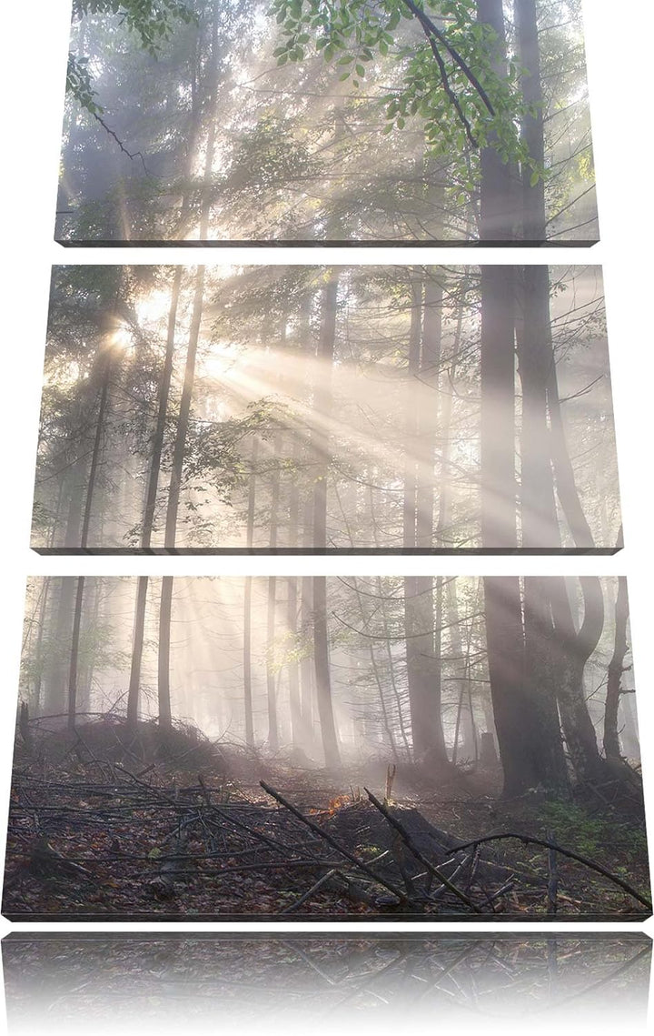 Pixxprint diesiger Waldweg als Leinwandbild/Grösse: 3 Teilig (120x80) cm/Wandbild/Kunstdruck/fertig