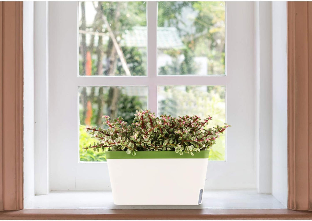 T4U 27cm Selbstwässernder Blumenkasten Kräutertopf mit ERD-Bewässerungs-System Grün 3er-Set Kunststo