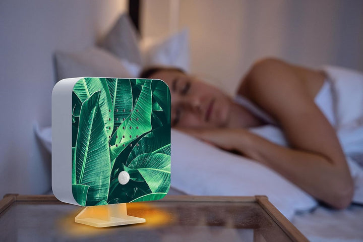 Northpoint Natur Soundbox Vogel, Gesang, Vogelzwitscher Box Bewegungsmelder Vogelgeräusch Licht Wied