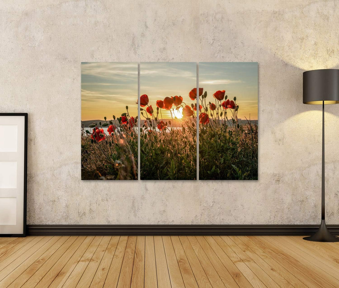 islandburner Bild auf Leinwand Roter Mohn Sonnenuntergang Mönchgut Ostseeinsel Rügen Bilder Wandbild