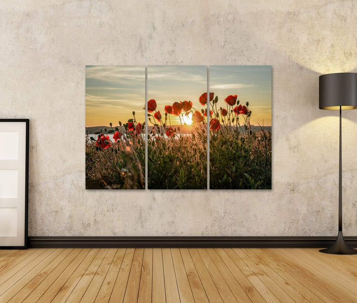 islandburner Bild auf Leinwand Roter Mohn Sonnenuntergang Mönchgut Ostseeinsel Rügen Bilder Wandbild