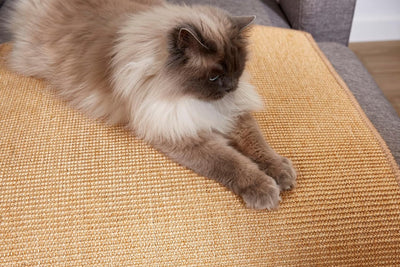 Kratzmatte für Katzen - Fussmatte Sisal Kratzteppich - natürliche Sisalmatte robust - Vorleger aus 1
