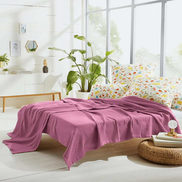 Erwin Müller Sommerdecke, Baumwolldecke Orchidee Grösse 100x150 cm - luftig-leicht, weiche Qualität,