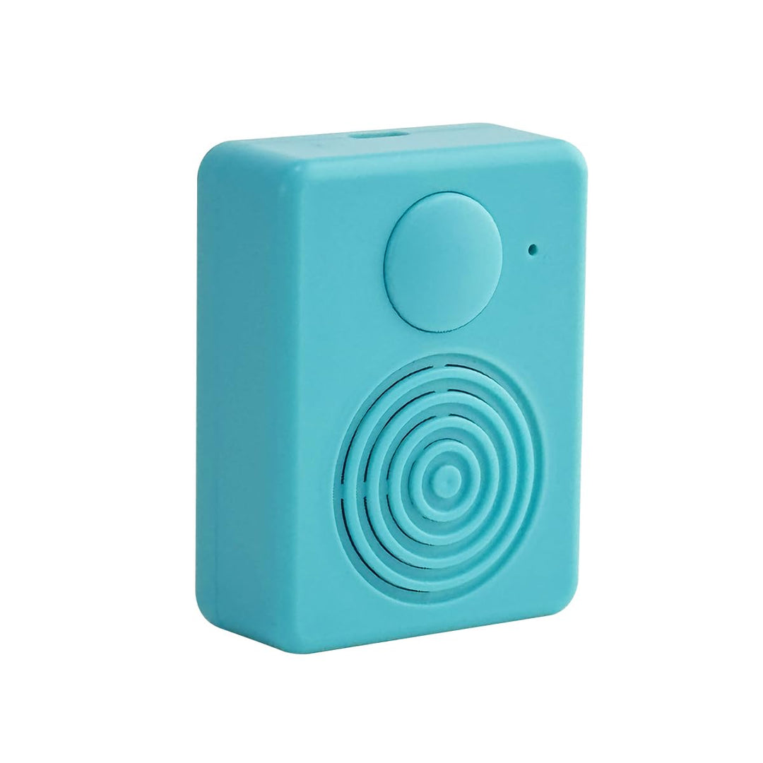 Soundmodul mit Lautsprecher,16 MB Diktiergerät, Unterstützt Bluetooth und Mikrofonaufnahmen,16 Minut
