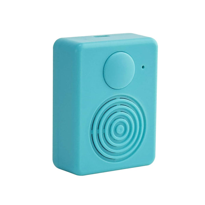 Soundmodul mit Lautsprecher,16 MB Diktiergerät, Unterstützt Bluetooth und Mikrofonaufnahmen,16 Minut
