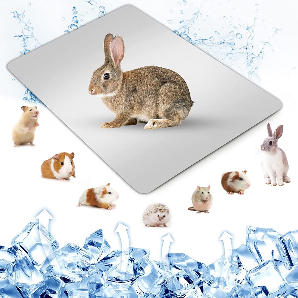Namvo Summer Cool Plate Cooling Pad Hamster Matte Eisbett für kleine Haustiere Kaninchen Totoro Meer
