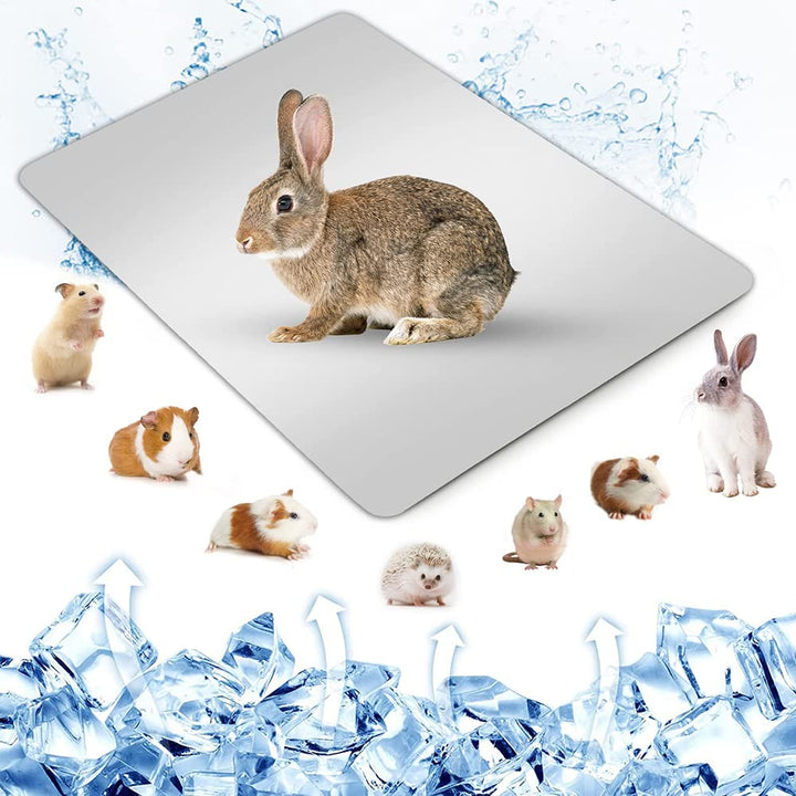Namvo Summer Cool Plate Cooling Pad Hamster Matte Eisbett für kleine Haustiere Kaninchen Totoro Meer