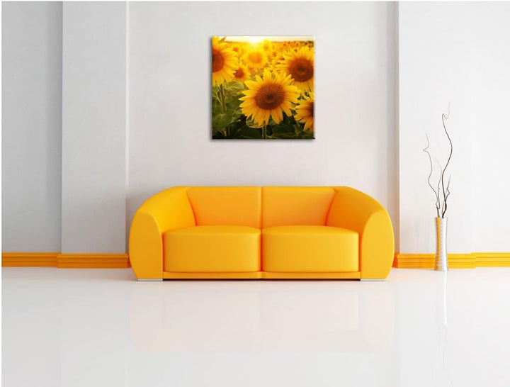 Sonnenblumen auf dem Feld, Format: 70x70 auf Leinwand, XXL riesige Bilder fertig gerahmt mit Keilrah