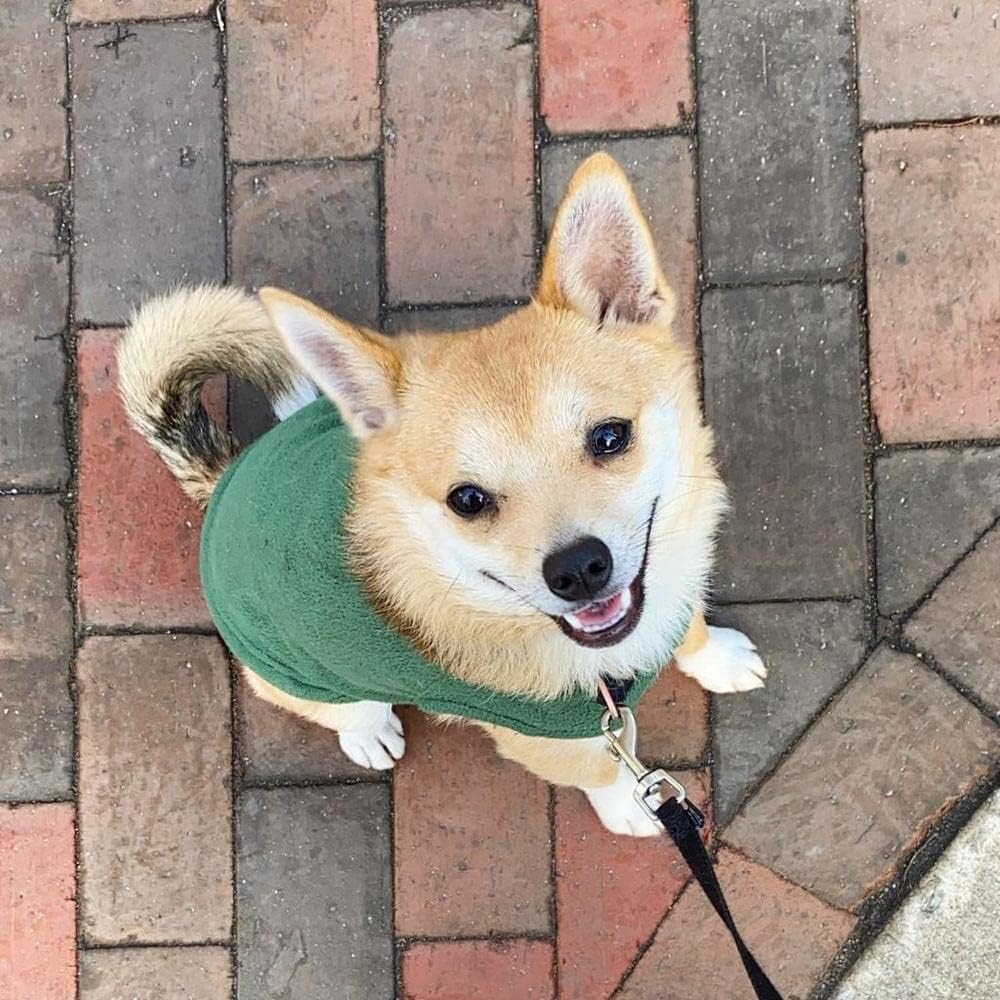 Gooby - Stretch Fleece Weste Pullover Fleece Weste Jacke Pullover für Hunde Waldgrün, Grösse S (21,6
