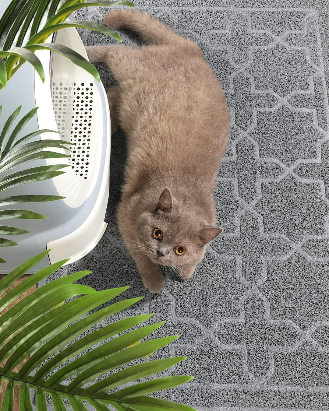 Yimobra Katzenstreumatte, XL Jumbo 90 x 60 cm, Leicht Zu Reinigende Katzenmatten, rutschfest, Wasser