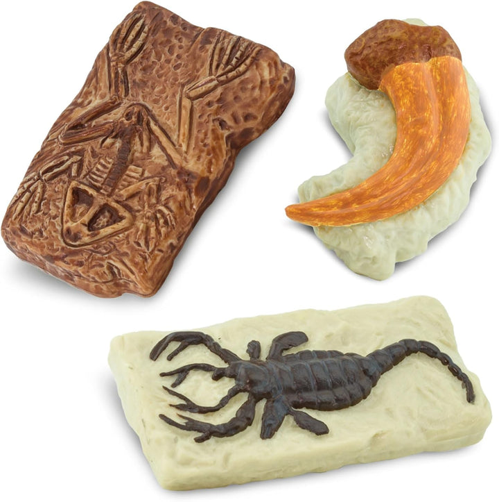 Safari Ltd. antike Fossilien TOOB - Figuren: Dinosaurier-Fussabdruck, Riesenkrabbe, Ammonit, Raptor-