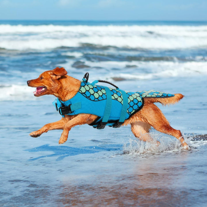 CITÉTOILE Hunde Schwimmweste Hai, Schwimmweste für Kleine Mittlere und Grosse Hunde, Hund Rettungswe