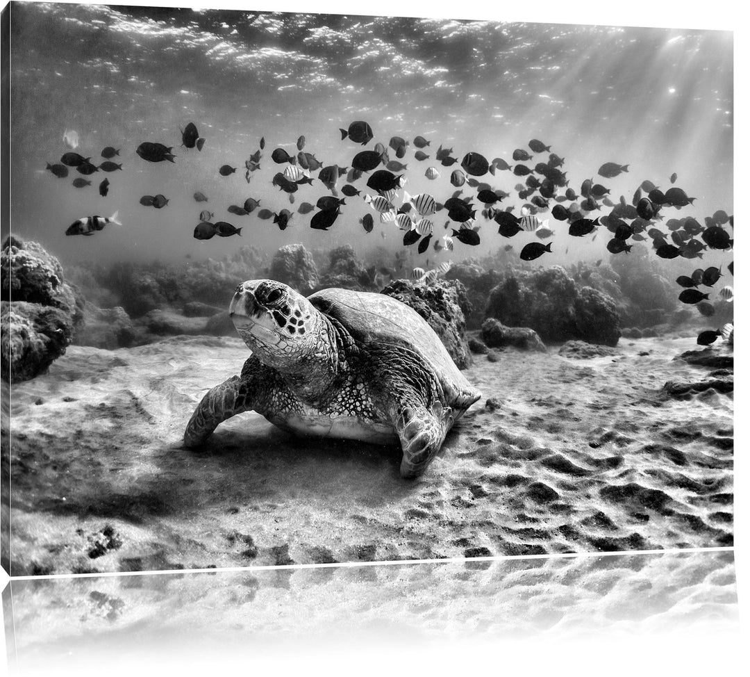Monocrome, Ninja Turtles, Format: 100x70 auf Leinwand, XXL riesige Bilder fertig gerahmt mit Keilrah