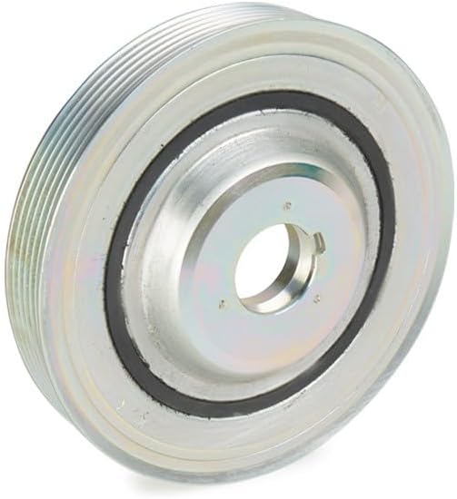 SKF VKM 93310 Schwingungsämpfer