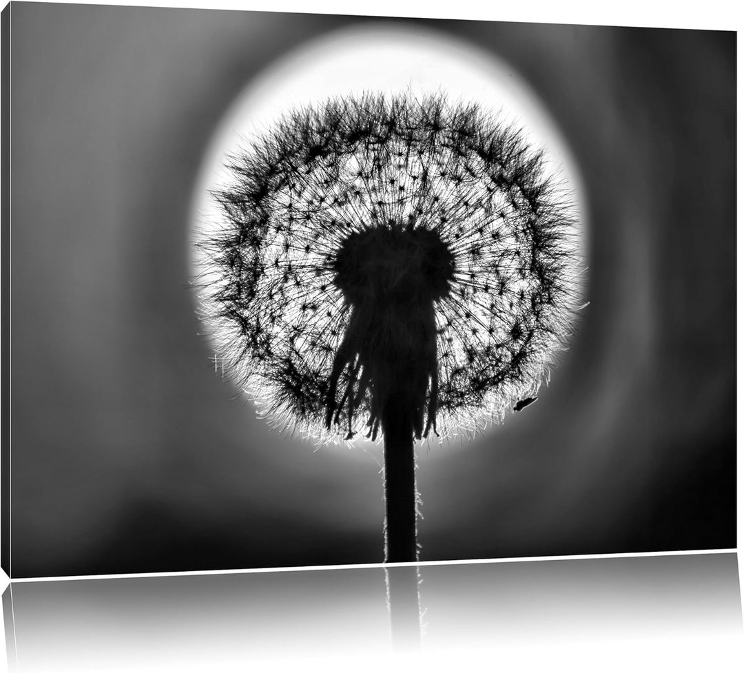 Pixxprint Pusteblume / 100x70cm Leinwandbild bespannt auf Holzrahmen/Wandbild Kunstdruck Dekoration,