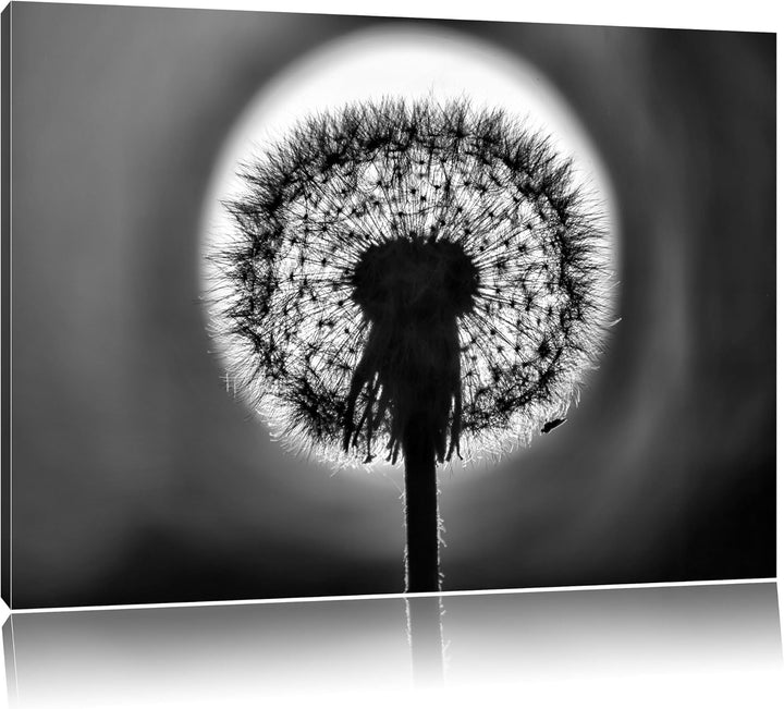 Pixxprint Pusteblume / 100x70cm Leinwandbild bespannt auf Holzrahmen/Wandbild Kunstdruck Dekoration,