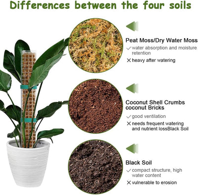 Vicloon Moosstab Rankhilfe, 4 Stück Kunststoff-Moosstange 61cm Monstera Pflanzstab, Pflanzenunterstü