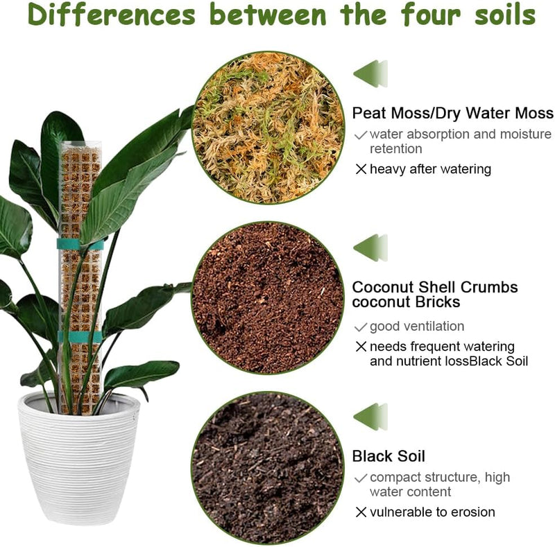 Vicloon Moosstab Rankhilfe, 4 Stück Kunststoff-Moosstange 61cm Monstera Pflanzstab, Pflanzenunterstü