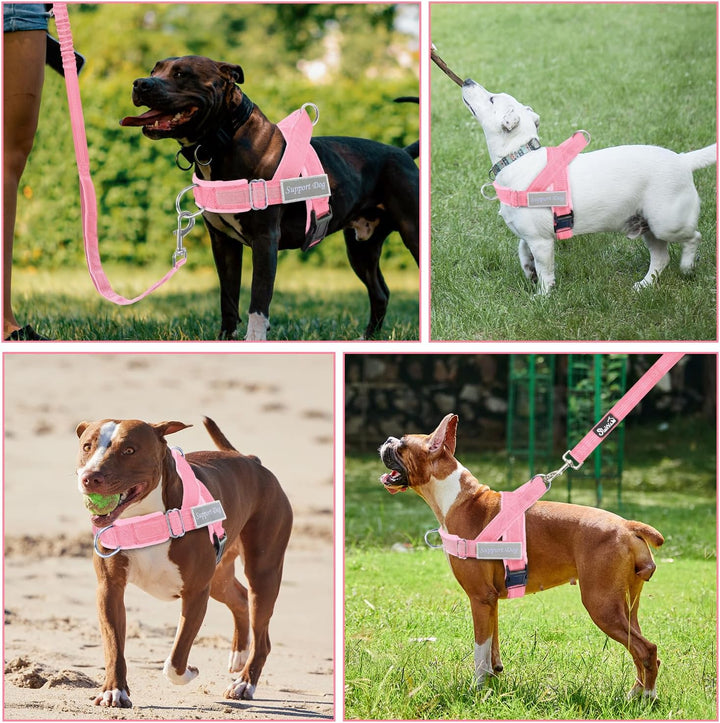 Hundegeschirr mit Leine für grosse mittelgrosse Hunde, Weich gepolsterter Brustgeschirr mit 2 Leinen