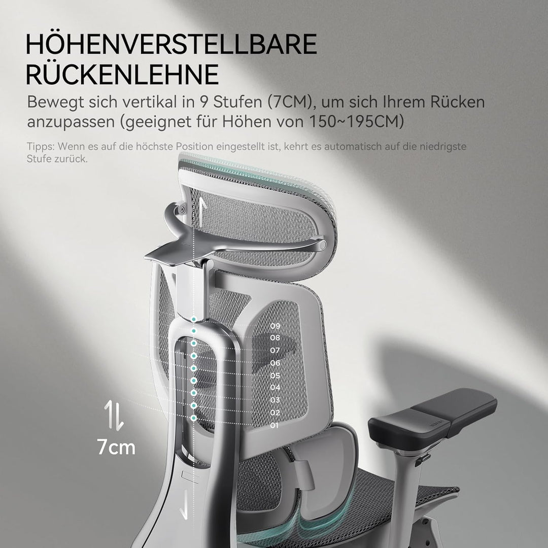 Hbada E3 Pro Ergonomischer Bürostuhl mit 3-Zonen dynamischer Lendenwirbelstütze, Schreibtischstuhl m