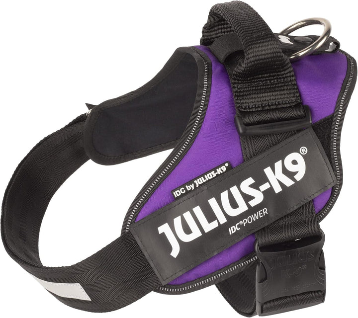 Julius-K9, IDC Powergeschirr, Grösse: L/1, Dunkelviolett Lila Yx40992, Lila Yx40992