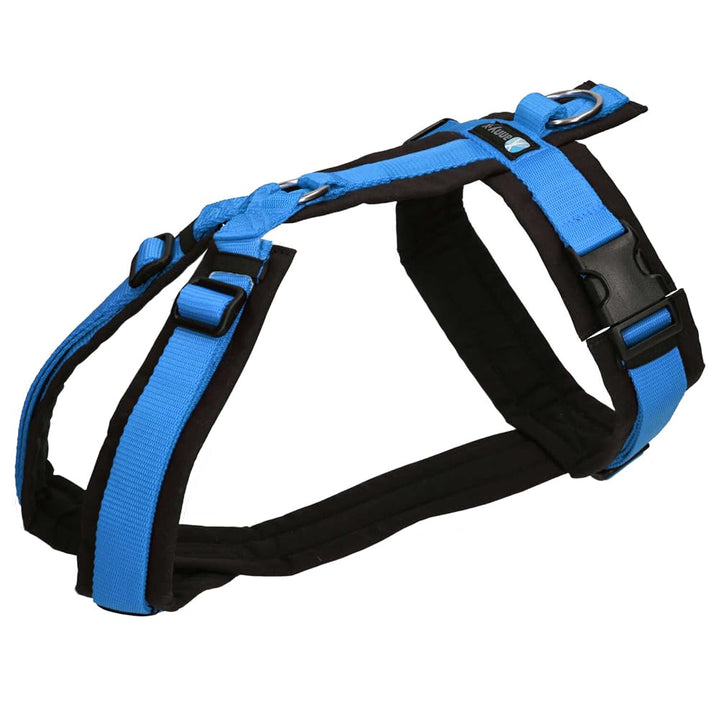 anny-x Brustgeschirr Fun schwarz blau- Grösse L schwarz blau L, schwarz blau L