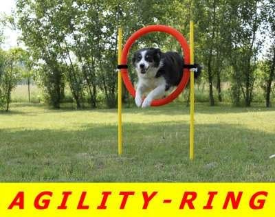 AGILITY-ÜBUNGS-ANFÄNGER-SET MIT SPRUNGRING / SLALOM / HÜRDEN