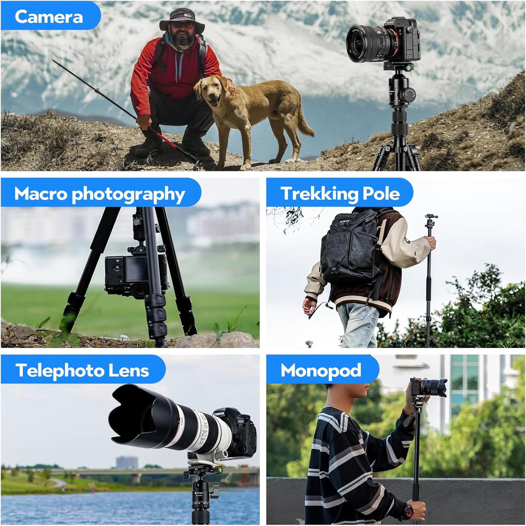Fotopro 165CM/65inch Kamera stativ, 2 in 1 Aluminium Reisen stativ und 360 ° Kopf Bein, Abnehmbares