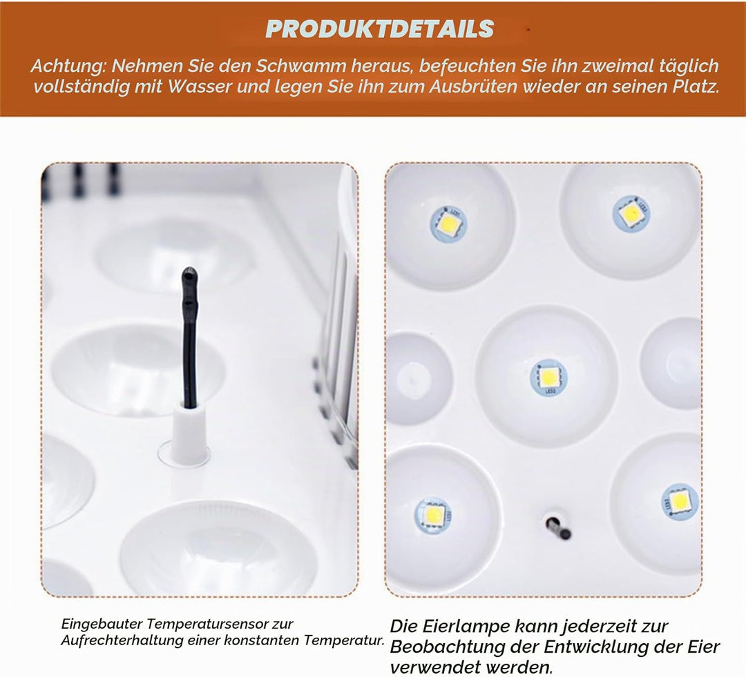 BREUAILY Mini 9 Eier Inkubator Digitaler Geflügel Hatcher mit Automatischer Temperaturregelung Brutm