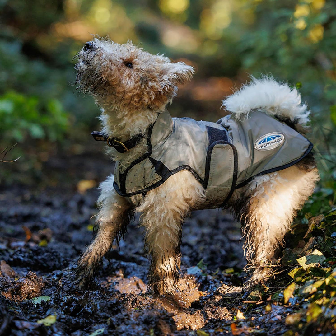 Weatherbeeta Comfitec Reflektierender Hundemantel - Silber 30cm, 30cm