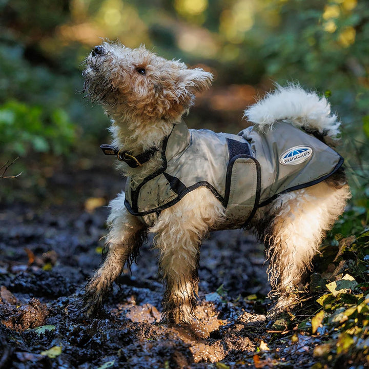 Weatherbeeta Comfitec Reflektierender Hundemantel - Silber 30cm, 30cm