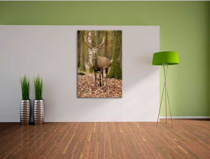 Schöner Hirsch im Wald, Format: 100x70 auf Leinwand, XXL riesige Bilder fertig gerahmt mit Keilrahme