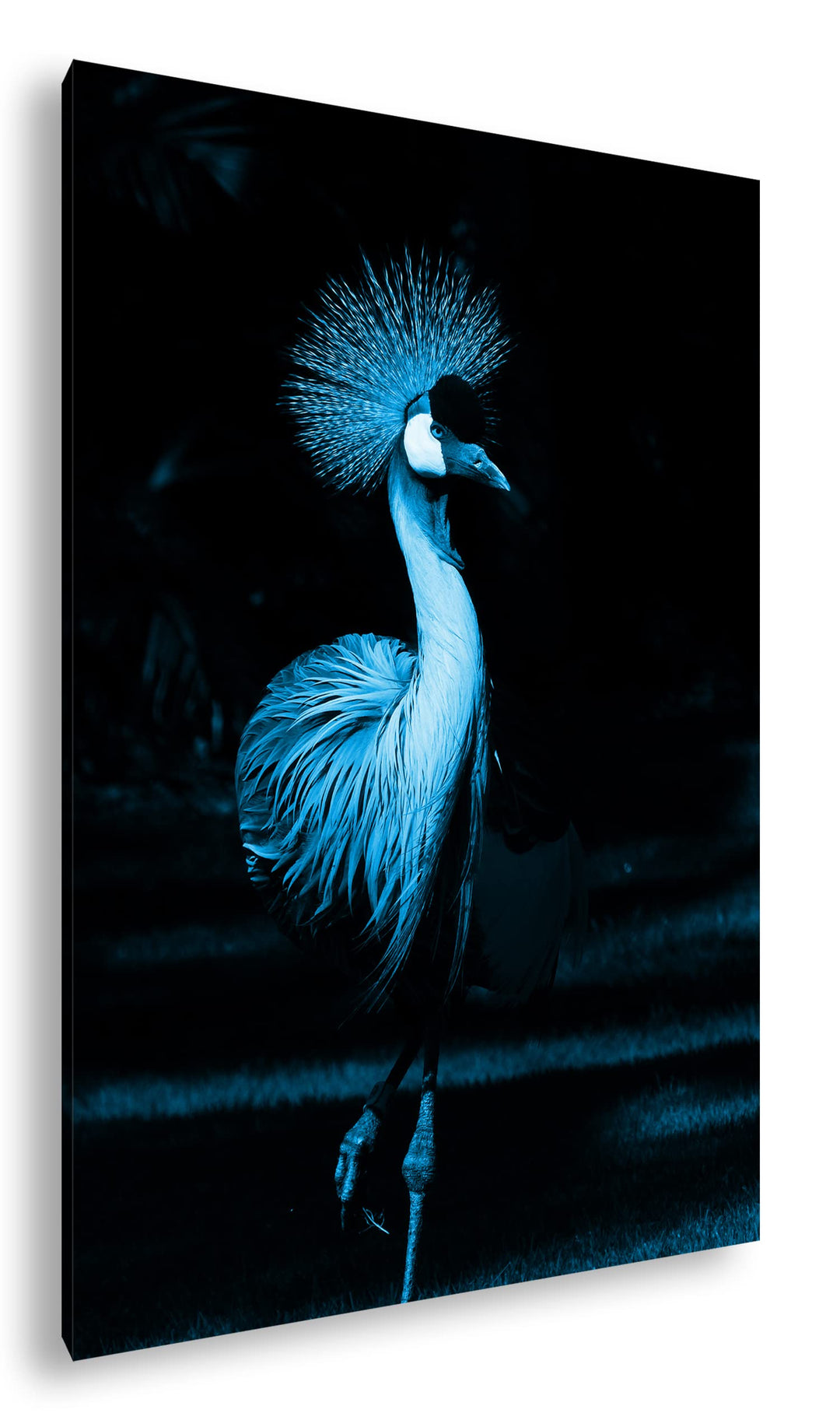 deyoli edler Kranich Format: 80x60 Effekt: Monocrome Blau als Leinwand, Motiv fertig gerahmt auf Ech