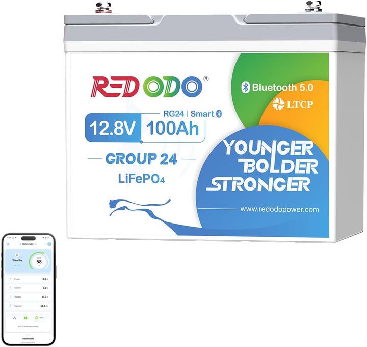 Redodo 2er Pack 12V 100Ah LiFePO4 Batterien mit Bluetooth, 100A BMS, 1280Wh pro Batterie (2560Wh ges