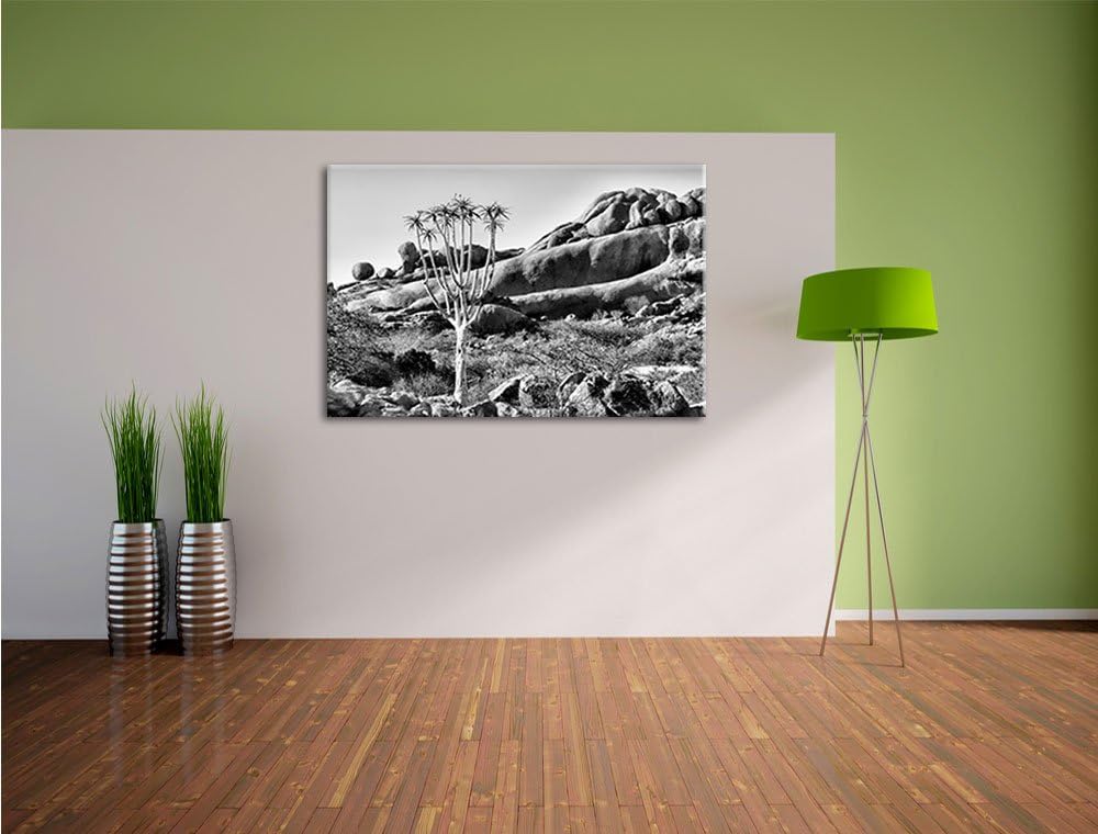 Pixxprint Monocrome, aussergewöhnlicher Baum im Steingebirge, Format: 100x70 auf Leinwand, XXL riesi