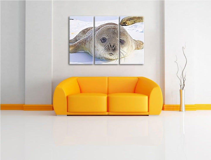 Süsses Robben Baby Spezial 3-Teiler Leinwandbild 120x80 Bild auf Leinwand, XXL riesige Bilder fertig
