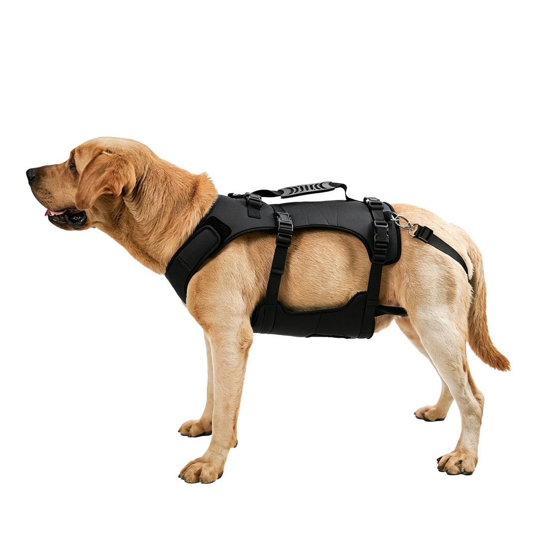 COODEO Hundegeschirr, Ganzkörperstütze und Erholungsweste, verstellbar und atmungsaktiv, für ältere,