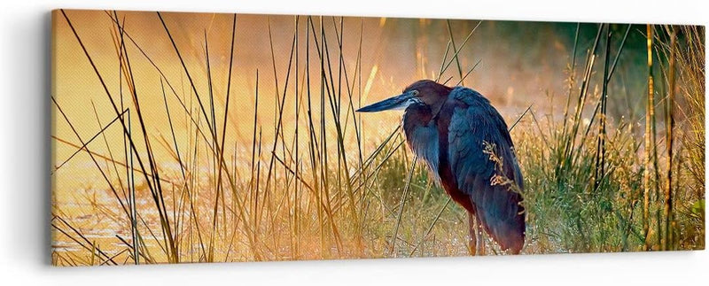 Panorama Bilder auf Leinwand Vogel Natur Wasser Leinwandbild 90x30cm Wandbilder Dekoration Wohnzimme