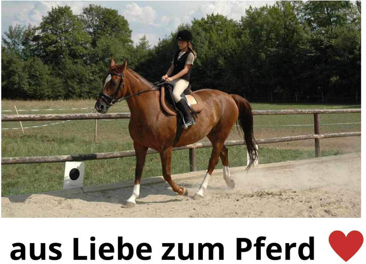 DT Saddlery Kurzgurt Butterfly Länge 90 cm, schwarz Dressurgurt Rainer Gurt 5-10 cm LÄNGER BESTELLEN