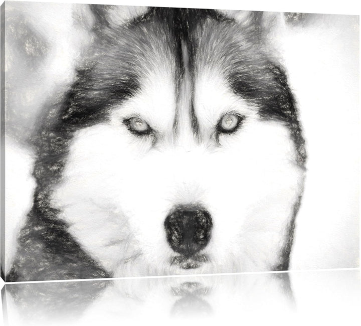 Husky Kohle Effekt, Format: 100x70 auf Leinwand, XXL riesige Bilder fertig gerahmt mit Keilrahmen, K