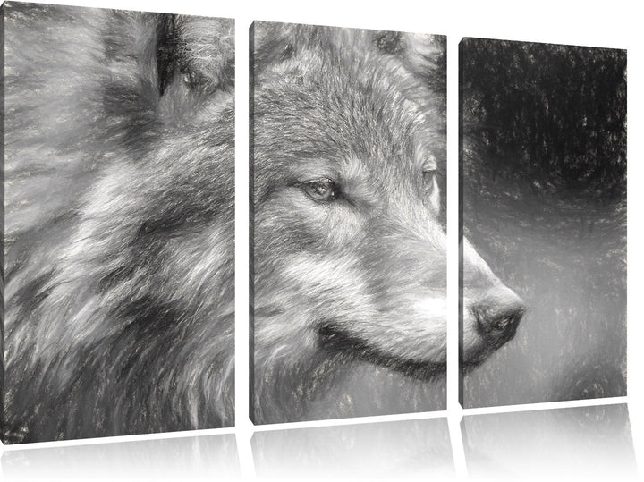 Pixxprint Porträt des europäischen Wolfes Kunst Kohle Effekt 3-Teiler Leinwandbild 120x80 Bild auf L