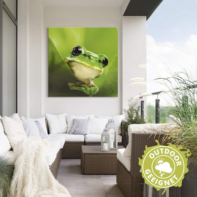 ARTland Wandbild Alu Verbundplatte für Innen & Outdoor Bild 40x40 cm Frosch Tiere Pflanze Natur Süss