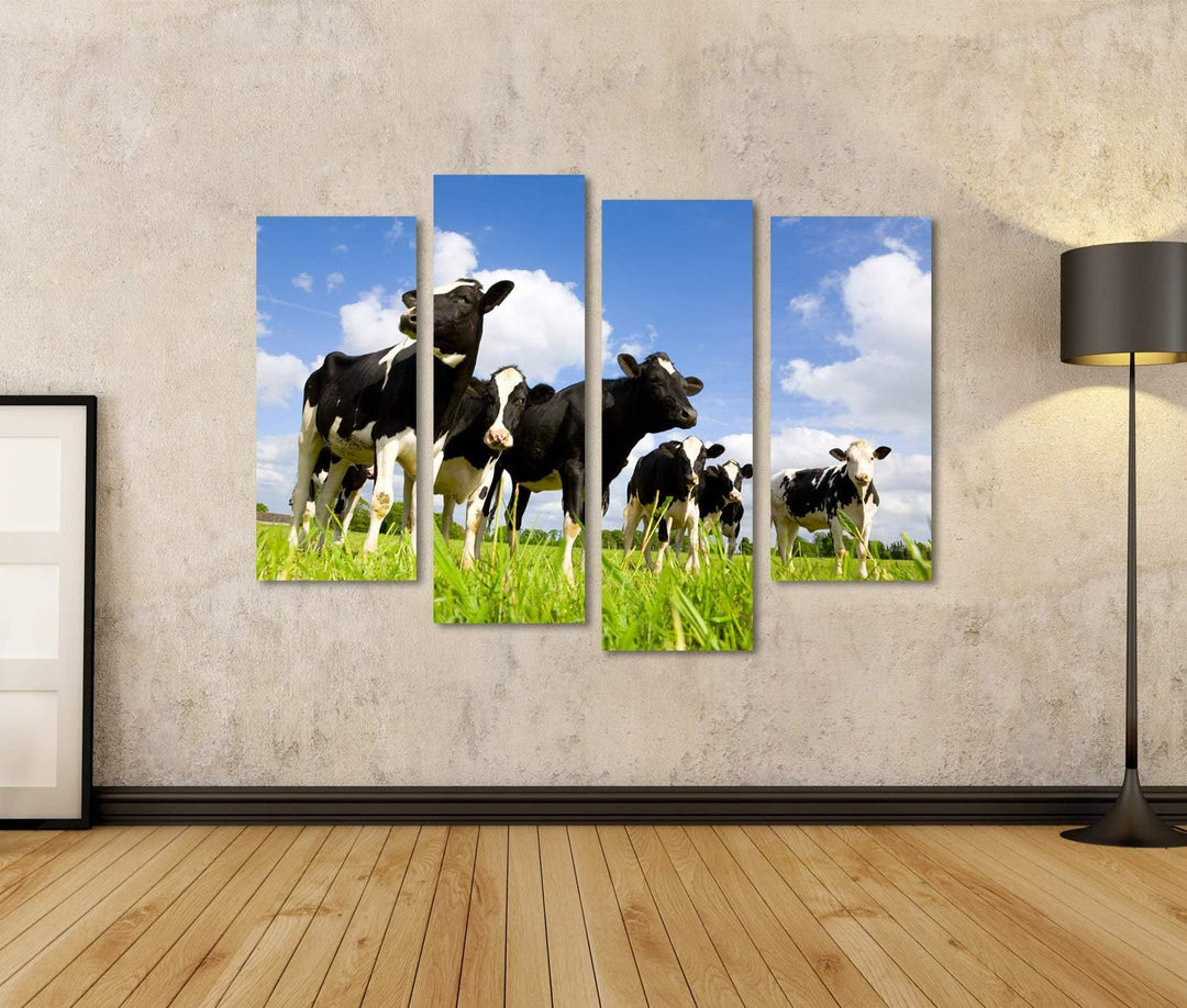 islandburner Bild auf Leinwand Holsteinische Kühe Auf Der Wiese Bilder Wandbilder Poster Leinwand 13