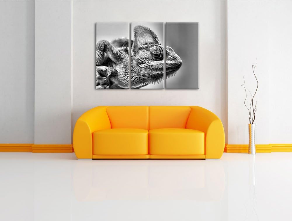 Pixxprint gelbes Chamäleon als Leinwandbild/Grösse: 3 Teilig (120x80) / Wandbild/Kunstdruck/fertig b