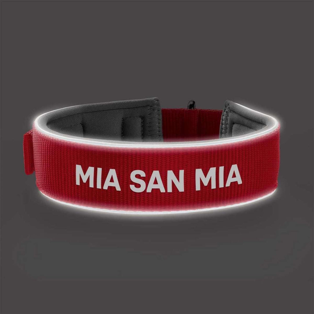 Hunter NEOPREN REFLECT FC Bayern München Hundehalsband, M-L (55), rot/grau Rot M-L (55), Rot M-L (55