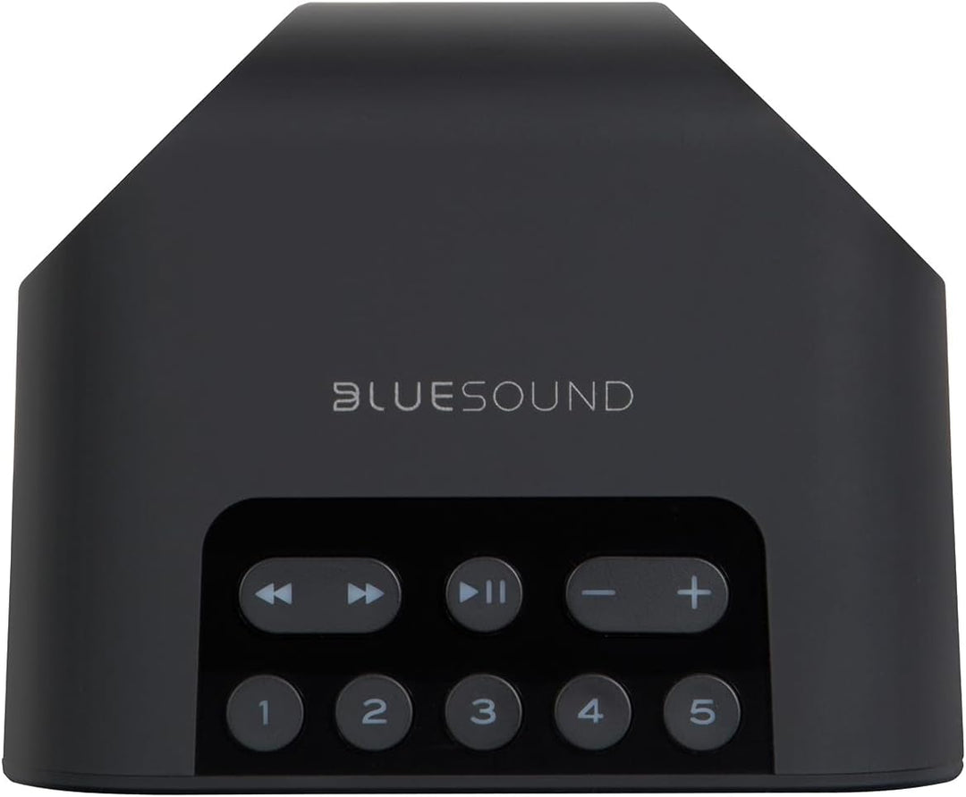 Bluesound Pulse Flex 2i tragbarer kabelloser Streaming-Lautsprecher - Schwarz Black, Black