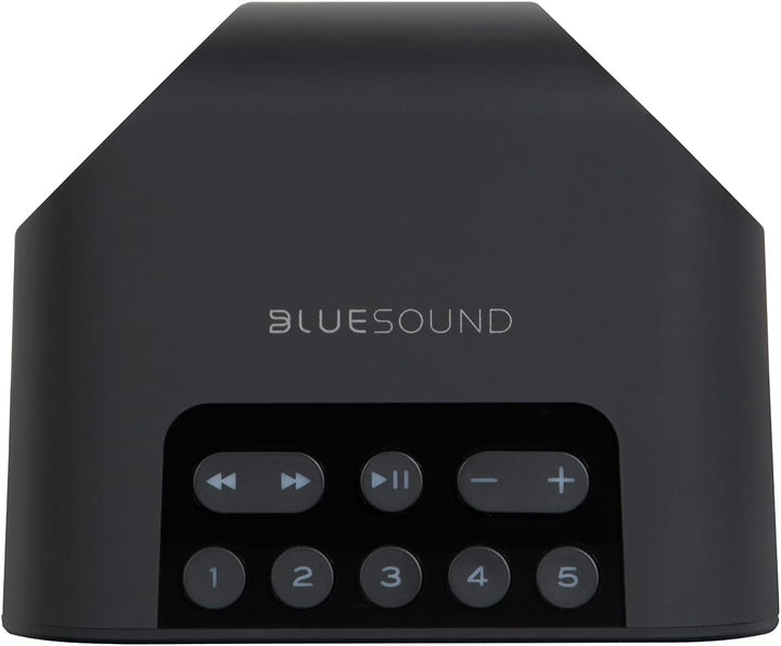 Bluesound Pulse Flex 2i tragbarer kabelloser Streaming-Lautsprecher - Schwarz Black, Black